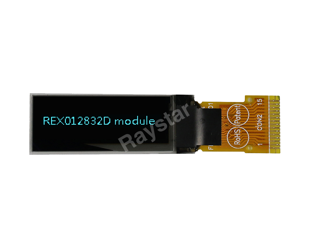 REX012832DSPP3N00000
